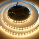 Rolo de 5 metros de fita LED 24V com abertura de 120º, várias potências reguláveis, para uso exterior com proteção IP65.