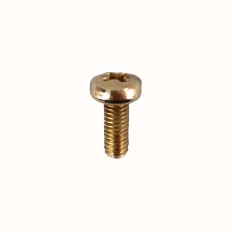 Parafuso para lâmpadas M4 x 10mm dourado com cabeça tipo