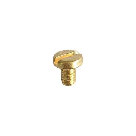 Parafuso para lâmpadas M4 x 6mm dourado com cabeça tipo fenda.