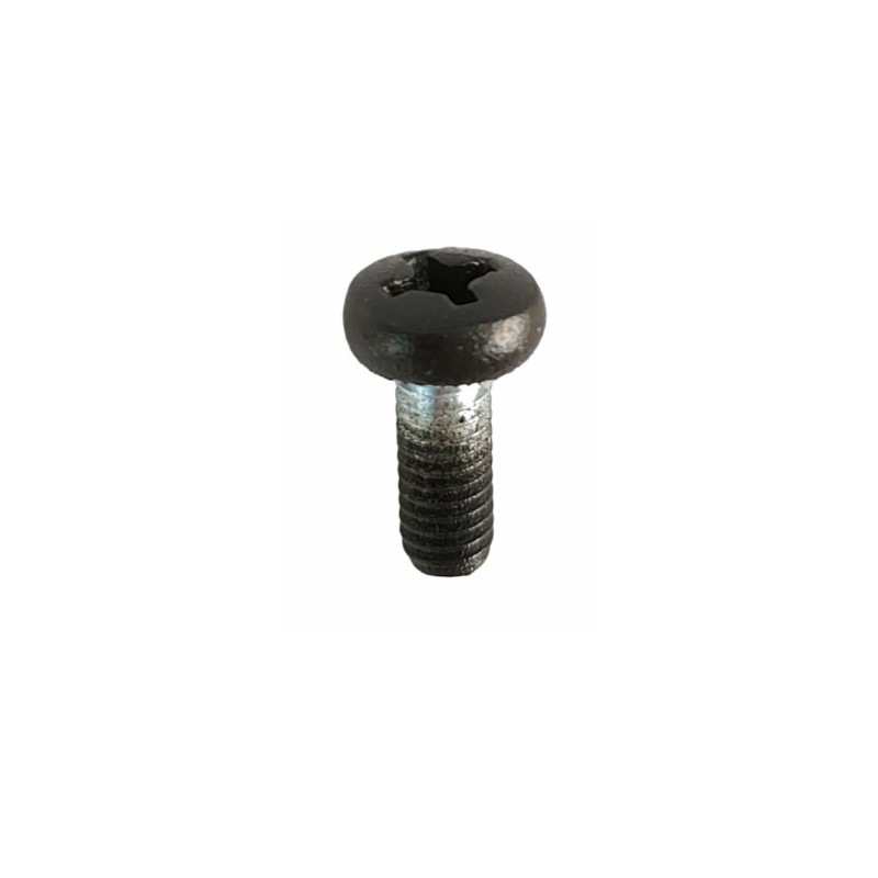 Parafuso para lâmpadas M4 x 10mm com cabeça tipo estrela e cor preta.