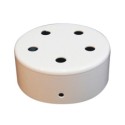 Suporte metálico de cor branca com 100mm de diâmetro e cinco saídas.