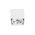 Luminária teto de alumínio AR111 branco fosco ARBONNE